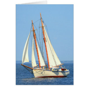 schooner sailing