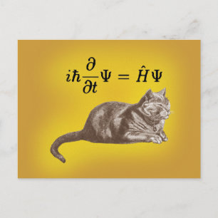 Schrodinger cat postcard