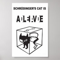 Schrödinger’s Cat Alive and Dead – Quantum Physics