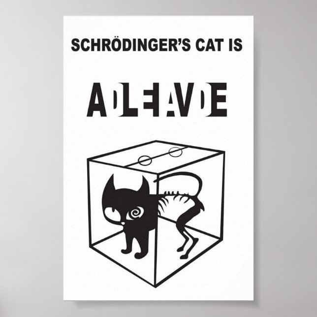Schrödinger’s Cat Alive and Dead – Quantum Physics Poster (Front)