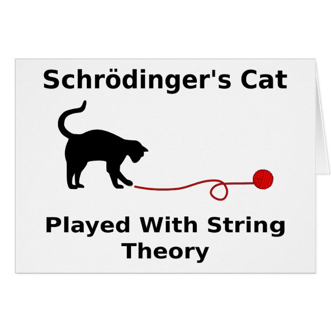 Schrödinger’s Cat Played With String Theory (Front Horizontal)