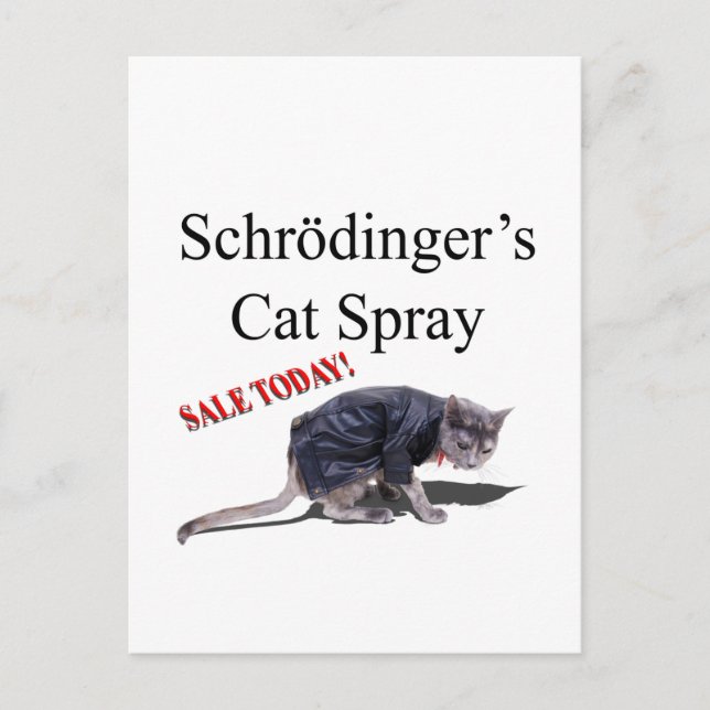 Schrodingercat Postcard (Front)