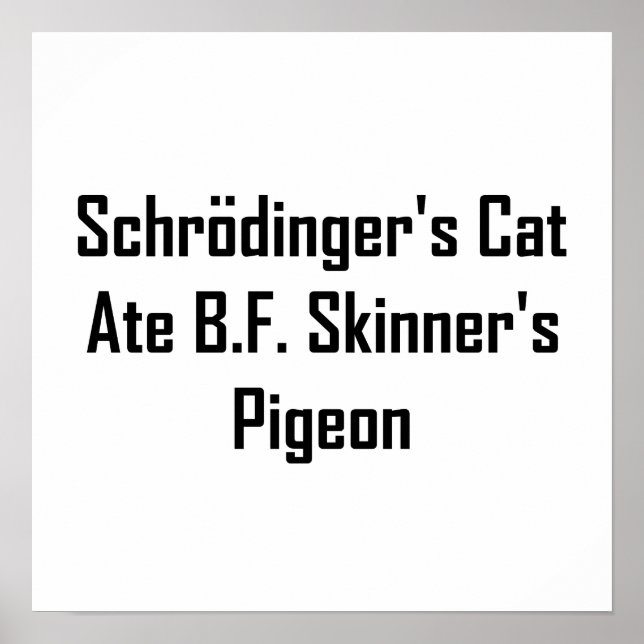 Schrodinger's Cat Ate B.F. Skinner's Pigeon Poster (Front)