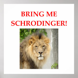 schrodinger's cat poster