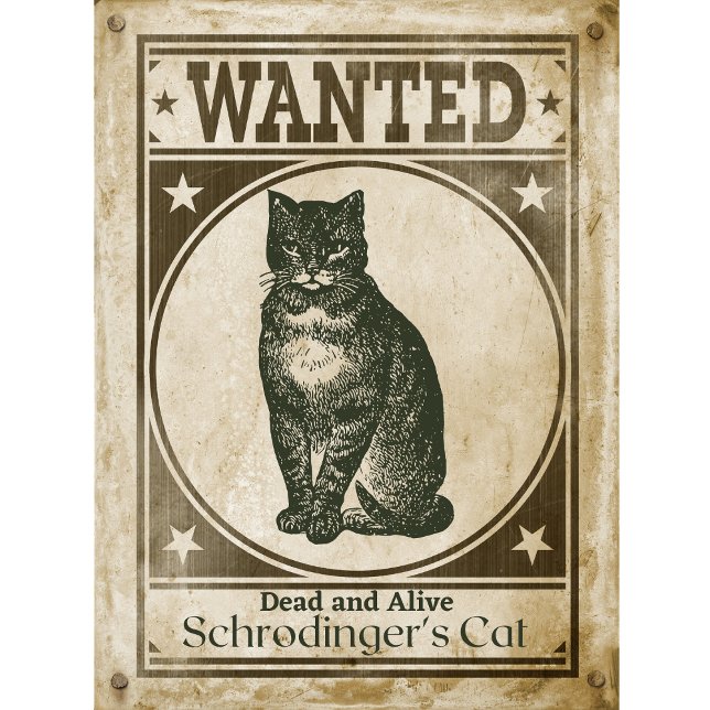 Schrodinger's Cat T-Shirt (Creator Uploaded)