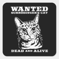 Schrodinger's cat wanted dead or alive