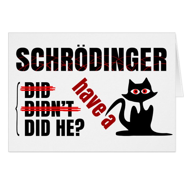 Schrodinger's Dillema (Front Horizontal)