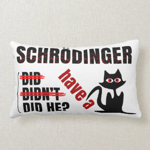 Schrodinger's Dillema Lumbar Cushion