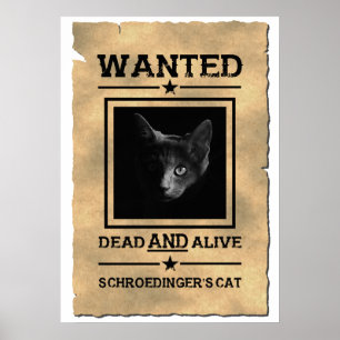 Schroedinger's Cat Wanted Poster   Physics Joke