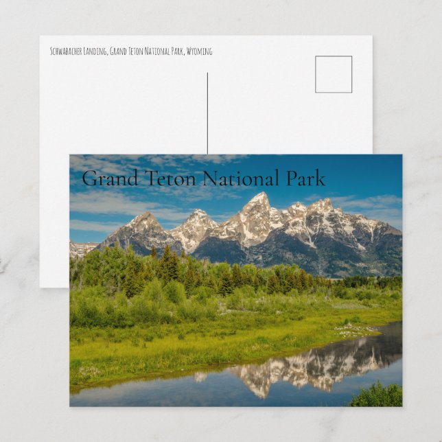 Schwabacher Landing Grand Teton National Park Holiday Postcard (Front/Back)