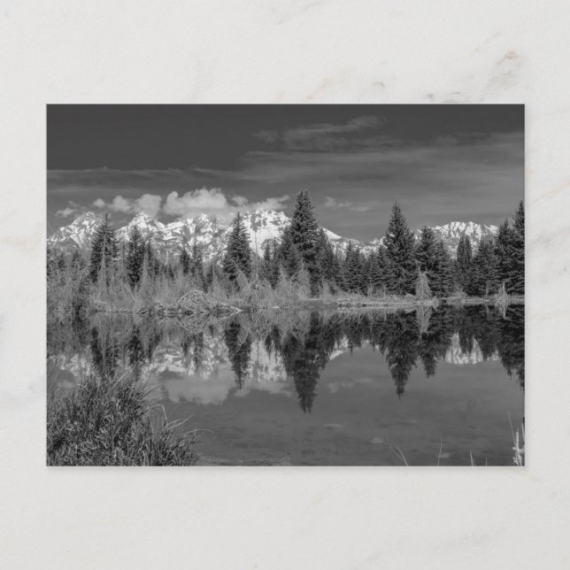 Schwabacher Landing Postcard (Front)
