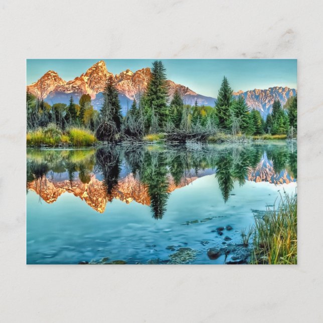 Schwabacher's Landing and Beaver Pond Postcard (Front)