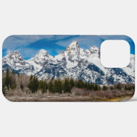 Schwabacher's Landing Winter