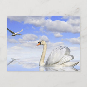 Schwanensee Postcard