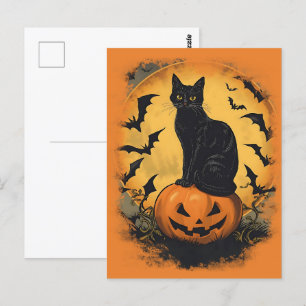 Schwarze Katze auf Halloween-Kürbis Postcard