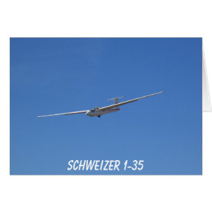 Schweizer 1-35 glider