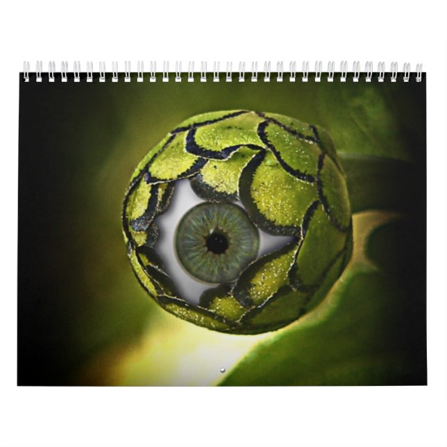 " Sci-Fi "  Calendar (Cover)