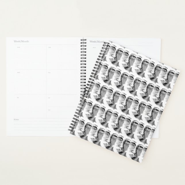 Sci-Fi - fantasy Poe's Lanore and Annabelle Lee Pl Planner (Display)