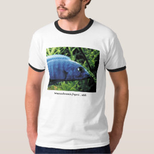 sciaenochromis fryeri , ahli T-Shirt