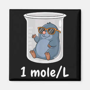 Science &amp; Technology Funny Chemistry 1 Mole L  Magnet