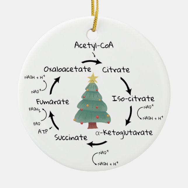 Science Biology Kreb's Cycle Christmas Teacher Ceramic Tree Decoration (Front)