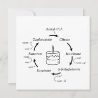 Science Birthday Kreb's Cycle Biology Cake Teacher