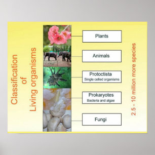 Science, Classification of living organisms Poster