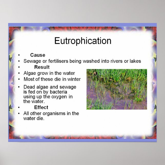 Science, Environmental Chemistry, Eutrophication Poster (Front)