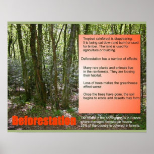 Science Life Science Deforestation Poster