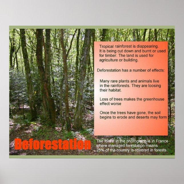 Science Life Science Deforestation Poster (Front)