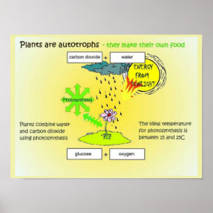 Science, Plants, autographs, food Poster