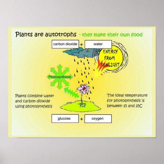 Science, Plants, autographs, food Poster (Front)
