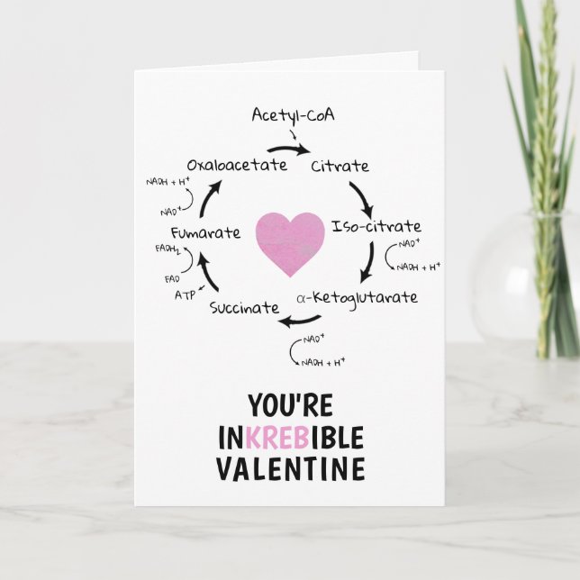 Science Valentine Kreb's Cycle Biology Heart Geek  Holiday Card (Front)