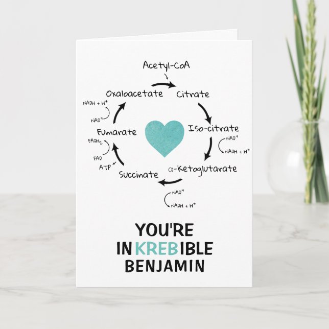Science Valentine Kreb's Cycle Biology Heart Holiday Card (Front)