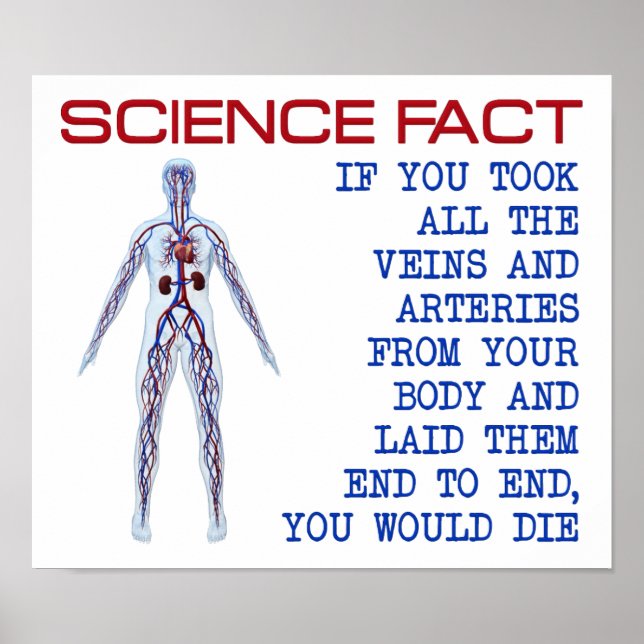 Science Veins Funny Poster (Front)