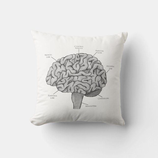 Scientific Brain Cushion (Front)