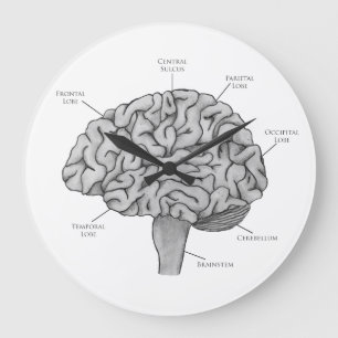Scientific Brain Large Clock