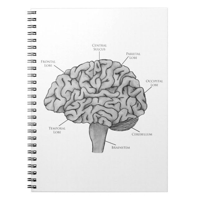 Scientific Brain Notebook (Front)