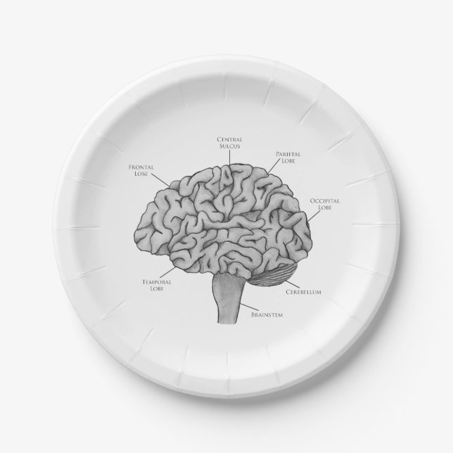 Scientific Brain Paper Plate (Front)