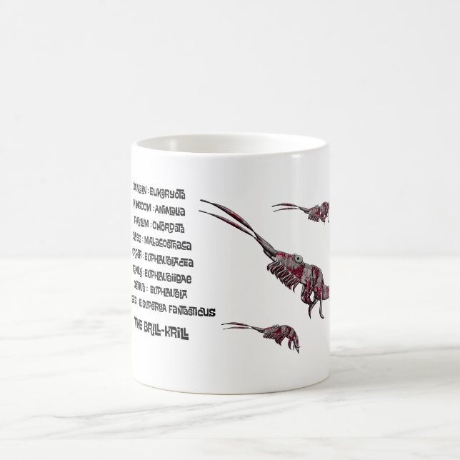 Scientific classification for the brill krill  coffee mug (Center)