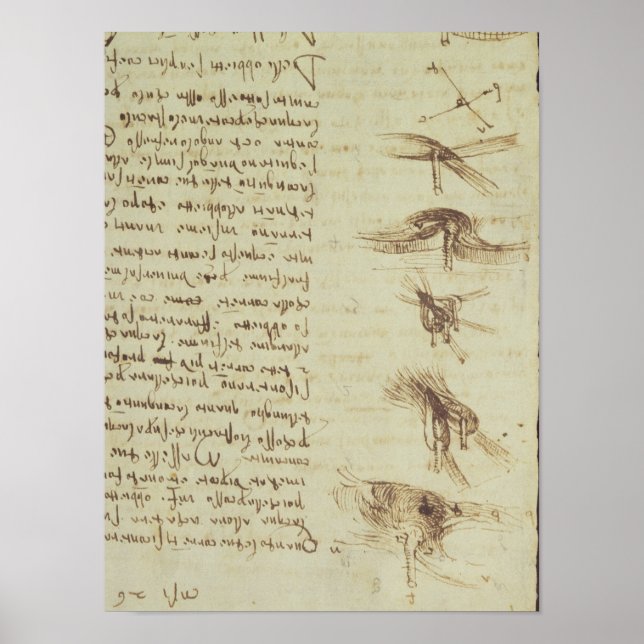 Scientific diagrams poster (Front)