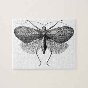 scientific illustration of moth jigsaw puzzle