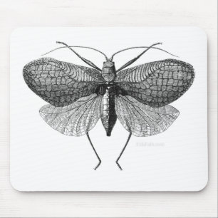 scientific illustration of moth mouse pad
