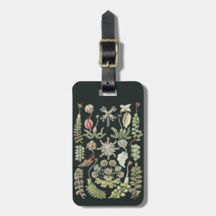 Scientific Nature Art Ernst Haeckel Liverworts Luggage Tag