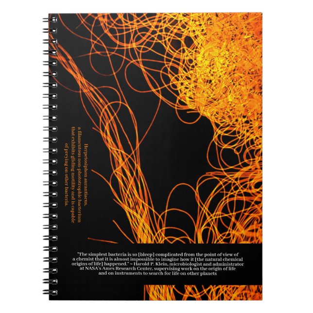Scientists Say ... Klein Quote and Bacterium Notebook (Front)