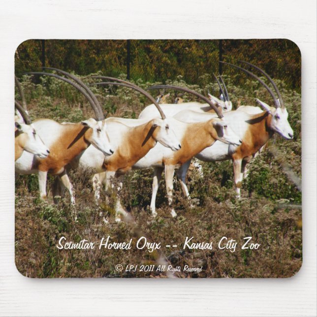 Scimitar Horned Oryx mousepad (Front)
