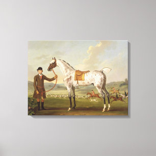 Scipio, Colonel Roche's Spotted Hunter, c.1750 (oi Canvas Print