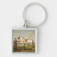 Scipio, Colonel Roche's Spotted Hunter, c.1750 (oi
