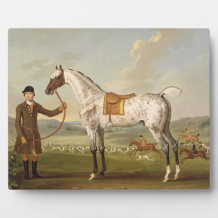 Scipio, Colonel Roche's Spotted Hunter, c.1750 (oi Plaque