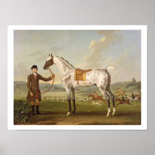 Scipio, Colonel Roche's Spotted Hunter, c.1750 (oi Poster